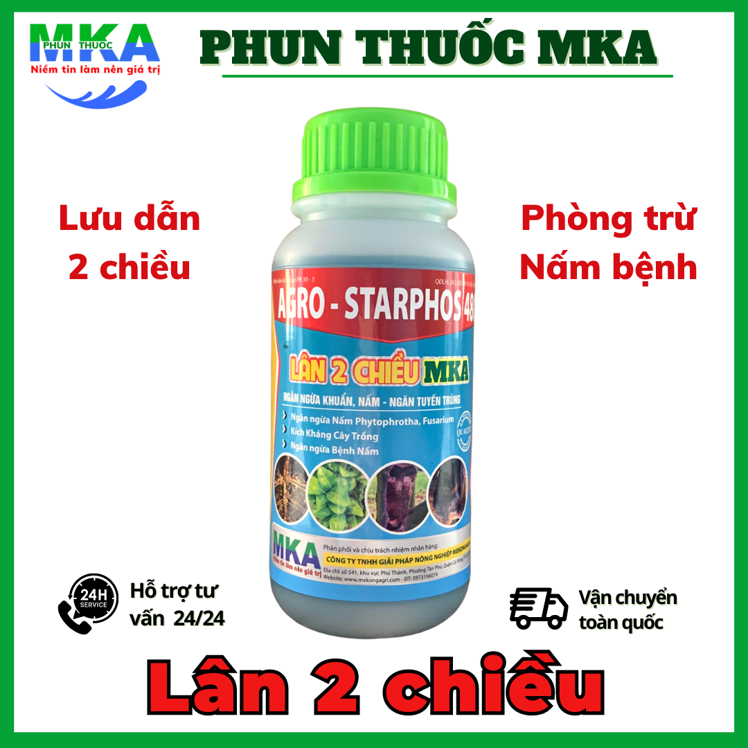 Lân 2 chiều MKA